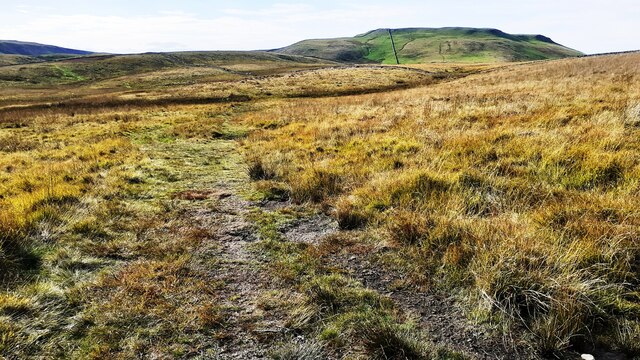 Track on Thornton Rust Moor towards Carpley Green
