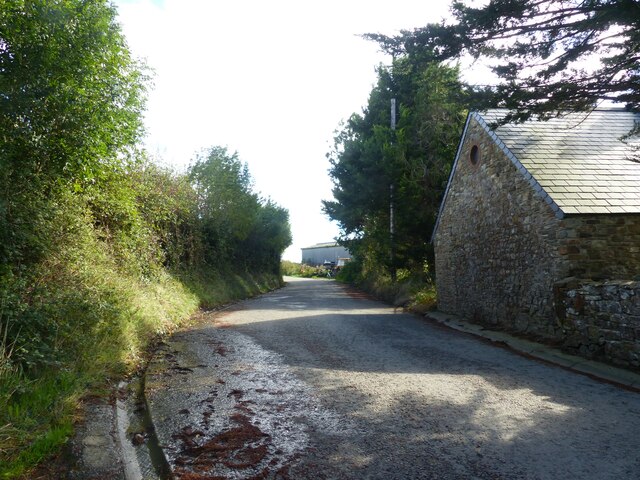 Looking east along the road, Whitlow, Martletwy, Pembrokeshire