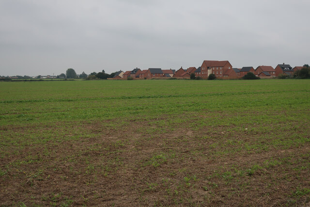 Field by Water Moor Lane