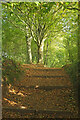 Riverside path at Brutus Bridge