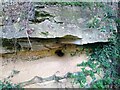 SU1583 : Jurassic limestone, Quarry Wildlife Garden, The Quarries, Swindon by Brian Robert Marshall