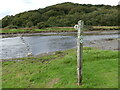 The stepping stones at Cresswell Quay, Pembrokeshire