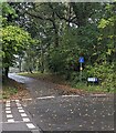 Dead-end School Road, Glascoed, Monmouthshire