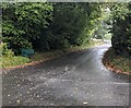 Road from Glascoed towards New Inn and Pontypool