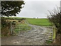 Farm track to Mynydd Llanelian