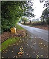 Yellow salt/grit box, Glascoed, Monmouthshire