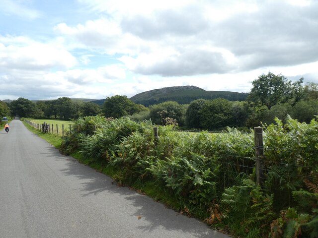Road to the north of Burrator Reservoir
