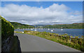 Yachts in the Kyles of Bute