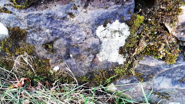 Benchmark on stone at base of wall corner at NW side of footpath at Nipe End