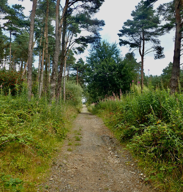 View NNE along the Crocknafeola Wood path