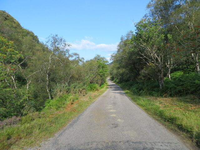 Tree-lined minor road beside Allt Gleann an t-Strathain