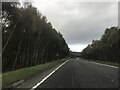 Signage - A9 northbound