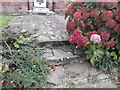 Garden path on Lyttelton Road, Hampstead Garden Suburb