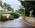 Road between pub and churchyard, Coed-y-Paen, Monmouthshire