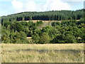 Grassland, Longbedholm