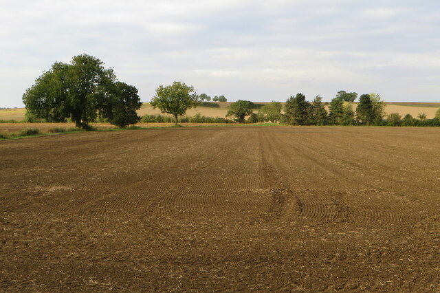 Farmland by Hatley Road