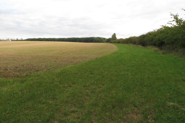 Farmland looking towards Cockayne Hatley Wood