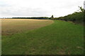TL2551 : Farmland looking towards Cockayne Hatley Wood by Philip Jeffrey