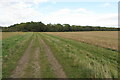 Footpath to Cockayne Hatley Wood