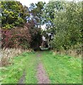 Track passing railway bridges