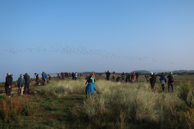 High tide gathering of birdwatchers