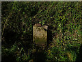 Old Milestone, A433