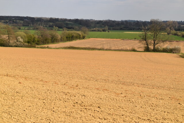 Barren field