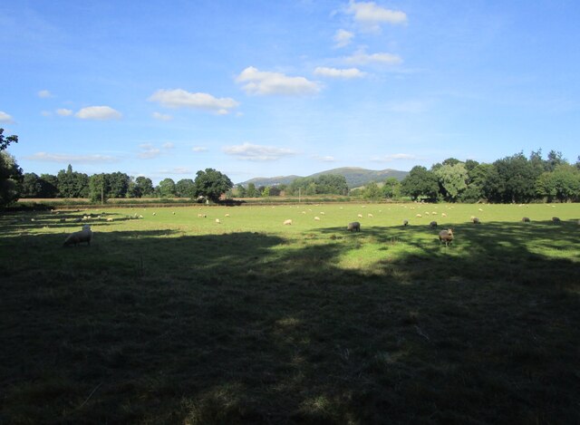 Grass field at Colwall