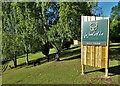 Alpaca Farm near Whaley