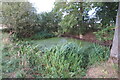 TL2651 : Pond at the corner of Cockayne Hatley Wood by Philip Jeffrey