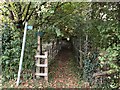 Footpath to St Dennis