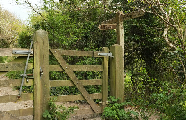 Gate and path junction, Wiscombe At the point where Kingston Footpath 10 comes to an end and you have a choice between going ahead up the valley to Kingston, or forking left up the valley side to meet a lane to the village; both routes are Kingston Bridleway 2.