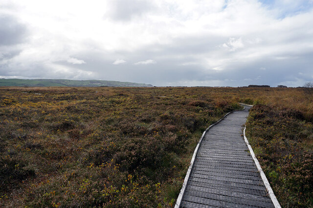 Board walk across the open bog