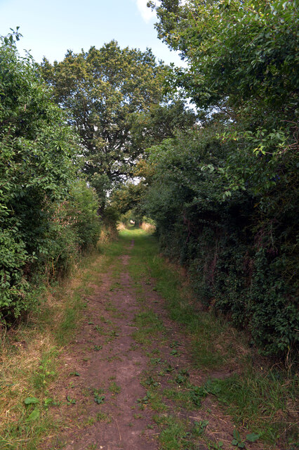 Pinn's Lane, Yaxham