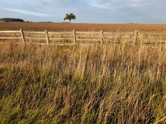 Field in Wormleighton
