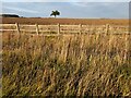 Field in Wormleighton