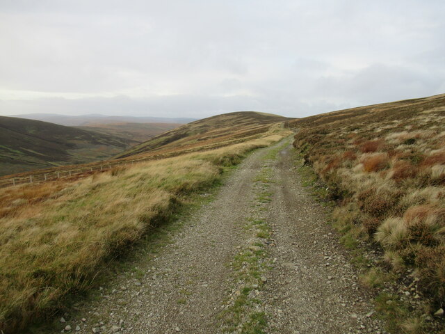 Track leading to Hunt Law