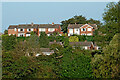 Housing at Weeping Cross in Stafford