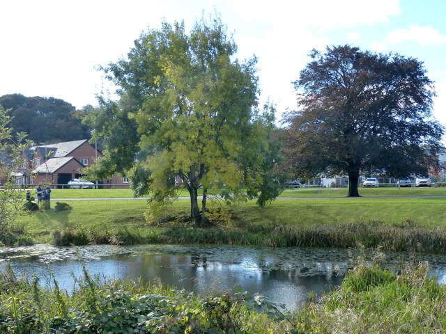 Small lake, Jubilee Park, Rogerstone (3)