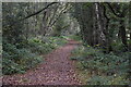 Bridleway on former railway route