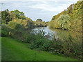 The River Severn, Worcester