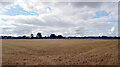 Farmland south of the River Tud near Mouse