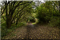 Wood Lane, Two Saints Way, Apedale