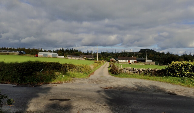 Lane leading to farm houses on the NNE side of Burrenbridge Road