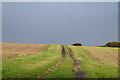 Field path under a stormy sky