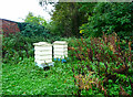 SJ7387 : Beehives in the rose garden, Dunham Massey by Humphrey Bolton