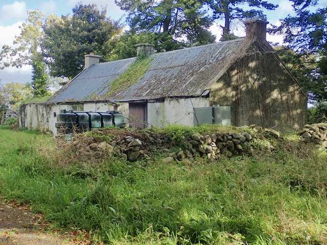Tin roofed cottage on Wild Forest Lane