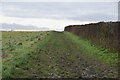 TQ5261 : Darent Valley Path by N Chadwick