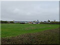 Grazing towards poultry houses