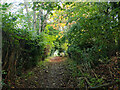 Bridleway 8_1Ba, Balcombe